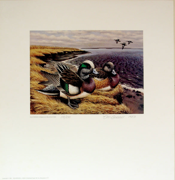 Widgeon Pair "Old Friends" Print